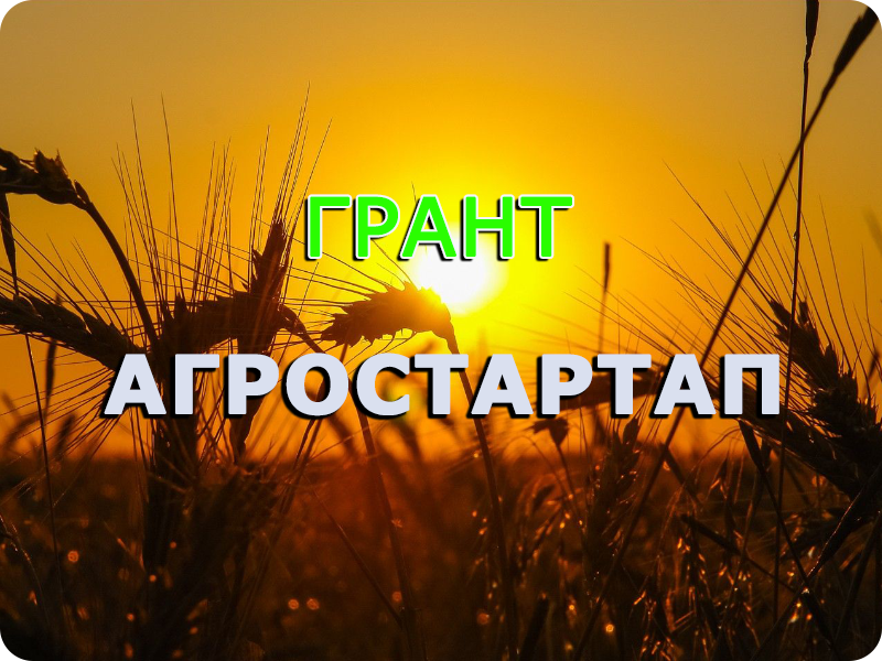 агростартап.