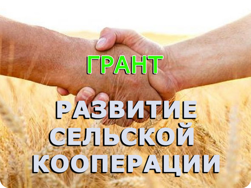 сельская кооперация.
