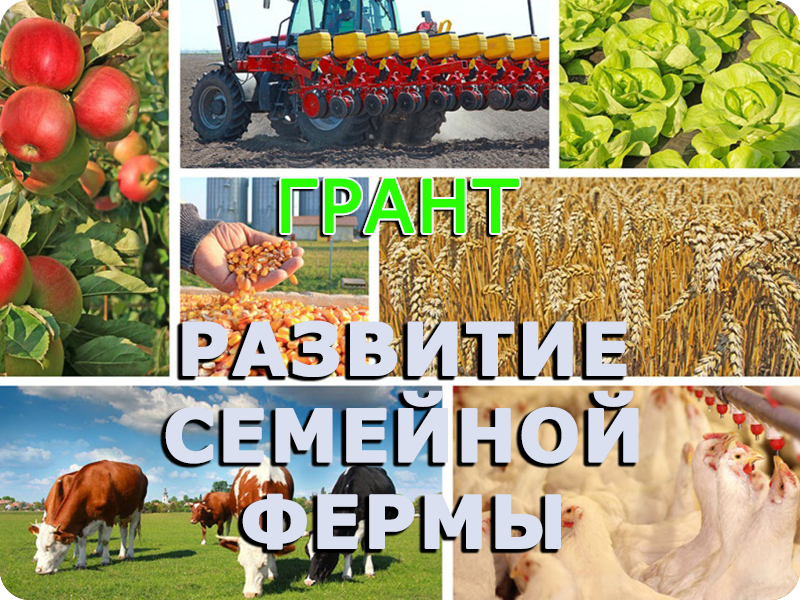 Семейная ферма.